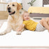 36" 36" 45 Count Puppy Pads Extra Large - Dog Pads Pink, XXL Pee Pads for PetsDisposable Dog Training Pads, Super