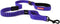 EzyDog Zero Shock Leash, Best Shock Absorbing Bungee Dog Leash, Double Handle Reflective for Traffic Control