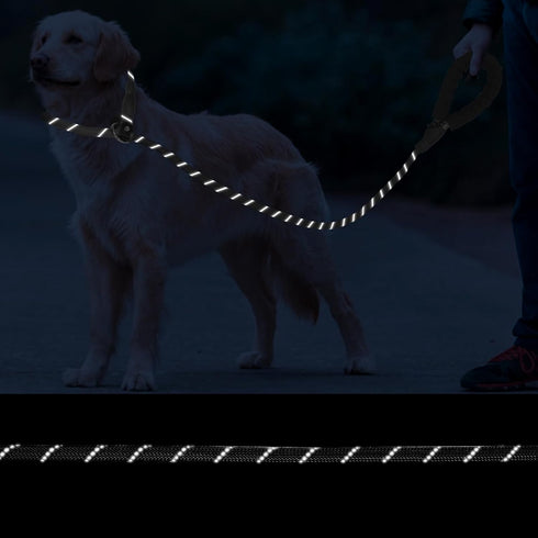 Slip Lead 5 FT for Small and Medium Dogs, Heavy Duty No Pull Reflective Nylon Training Leash, Black.