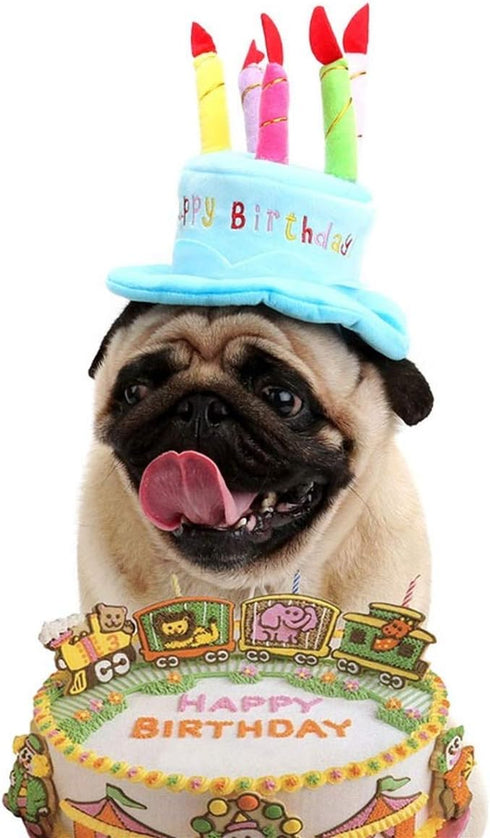 Cute Dog Cat Birthday Cake Hat, Pet Cap with 5 Color Candles Design, Custom Accessory (One Size Fits Most, Blue)