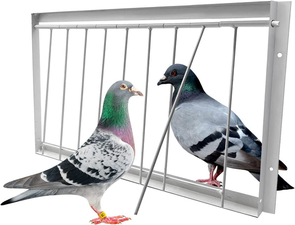 Racing Pigeon Trap Door, 15.8in x 10.2in Pigeon T-Trap Entrance House Loft Door, Bird Cage Supplies