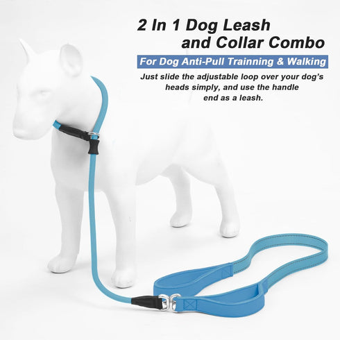 Slip Lead Dog Leash with Double Handle - Reflective Heavy Duty Nylon Slip Leash for Large Medium Small Dogs
