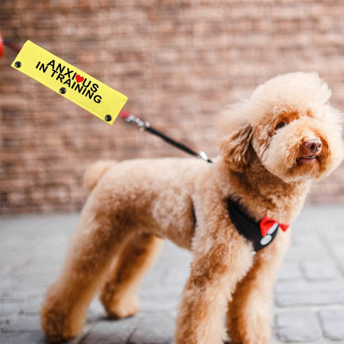 JXGZSO Dog Leash Sleeve - In Training Nervous Anxious - Not Pet Working Dog Leash Wrap (ANXIOUS in TRAIN DLS)