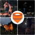 Adjustable High Visibility Dog Scarf - Reflective Towel Bib for Outdoor Adventures