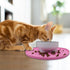 Silicone Pet Food Mat - Raised Edge Rubber Mat for Dog Bowls, Prevents Stains on Floors, Suitable for Small Pets, 10.6''