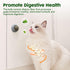 Potaroma 4 Pcs Catnip Ball Toys - 3 Silvervine Catnip Toys and 1 Edible Cat Energy Ball for All Breeds