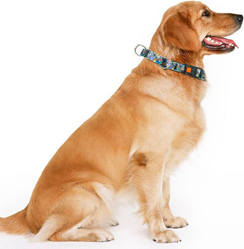 Heavy Duty Dog Collar with Buckle, No Pull Escape Proof Martingale Collars for Small, Medium, Large Breed Dogs, Quick