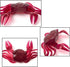 Oxxggkao Pack 20 Set of Soft Crabs Fishing Lures Collection with Flexible Movement and Bright Color Option for Highly