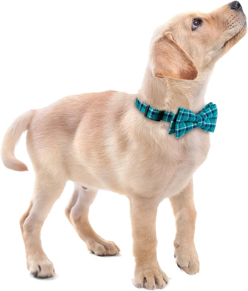 Soft & Comfy Bowtie Dog Collar, Adjustable and Detachable Bow Tie Collar for Small Medium Large Pets (Large, Pack of 1,