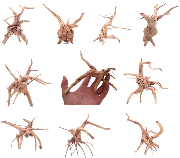 10pcs Natural Small Spiderwood Driftwood for Aquarium Decor, Freshwater Reptile Driftwood, 5-6inch