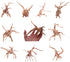 10pcs Natural Small Spiderwood Driftwood for Aquarium Decor, Freshwater Reptile Driftwood, 5-6inch