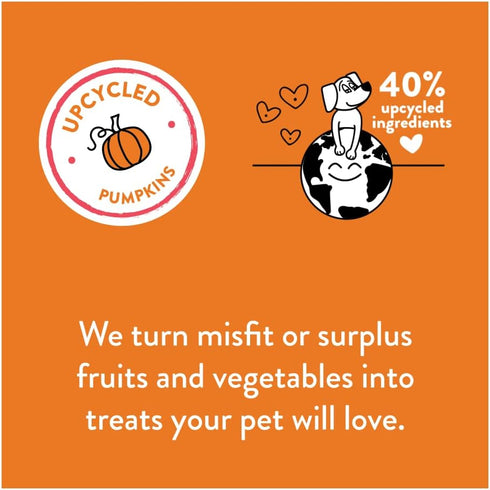 Shameless Pets Pumpkin Nut Par-Tay Soft-Baked Biscuit, 6 OZ