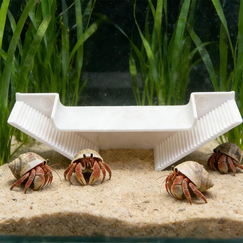 DQITJ 1 Pcs Hermit Crab Hermit Crab Hideaway Underground Habitat and Climbing Toy (White)