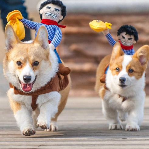 Xiaoyu Pet Dog Cat Halloween Costume, Funny Riding Horse Style Knight Clothing for Dog Cat Cosplay, Size L