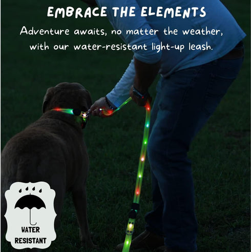 LED Dog Leash for Safe Evening Walks, High Visibility Light Up Leash, 6 Foot New Version for Dogs