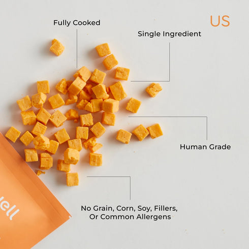 Freeze Dried Cheese Dog Treats - Grain-Free, High-Protein Pasteurized Dog Treats Made in The USA - Human-Grade, Minimally Processed & Preservatives Free