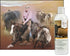 16 oz UltraCruz Livestock Shampoo