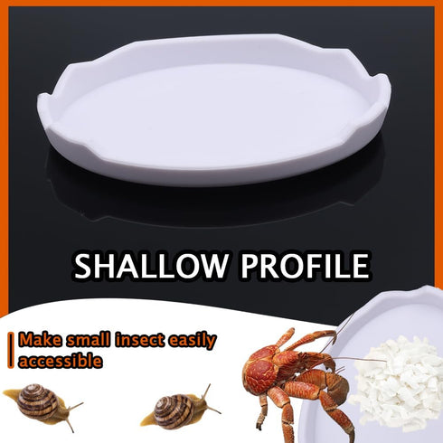 DQITJ 2 Pcs Snail Water and Food Bowl Hermit Crab Feeding Dish for Snail Crab Millipede Cricket Tarantula Insect
