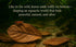 30g, (16+ Indian Almond Dried Leaves Premium Catappa Leaf Aquarium Water pH Tannin for Betta Fish, Shrimp Leaves)