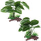 2Pcs Reptile Artificial Plants, Terrarium Plants Decorations, Aquarium Fish Tank Plant, Amphibian
