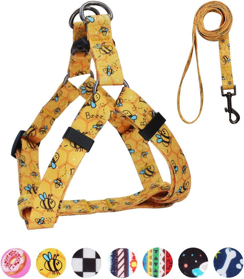 QQPETS Dog Harness Leash Set, Adjustable Heavy Duty No Pull Halter for Small Medium Large Dogs (XS, Yellow Bee)