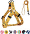QQPETS Dog Harness Leash Set, Adjustable Heavy Duty No Pull Halter for Small Medium Large Dogs (XS, Yellow Bee)