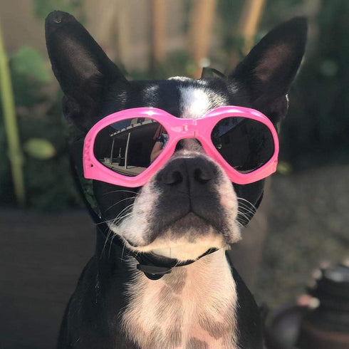 Petleso Dog Goggles for Medium Breed, Eye Protection Sunglasses, Windproof Anti-UV, Pink