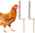 Oooct 2 Pack Chicken Chewing Toy, Chick Beak Grinding Calcium Stone with Wood