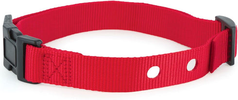 PetSafe 1 Inch Replacement Collar Strap with 2 Holes for Wireless Fence and In-Ground Fence Collars, Red