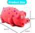 Squeaky Pig Dog Toys, 2 Pack Grunting Pig Toy for Small Medium Large Dogs, Durable Rubber Squeaker Set
