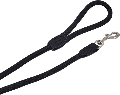 Dog Leash 4 Feet, Comfortable Nylon Rope for Medium Small Dogs Daily Training
