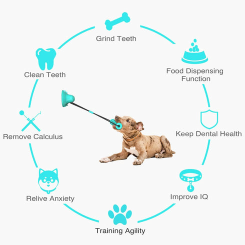 Guardians Dog Chew Toy with Double Suction Cup for Aggressive Chewers - Dog Toothbrush Chew Toy for Small Medium Dogs