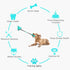 Guardians Dog Chew Toy with Double Suction Cup for Aggressive Chewers - Dog Toothbrush Chew Toy for Small Medium Dogs