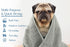 DAN RIVER 100% Cotton Dog Bath Towel, Ultra Soft 450 GSM, Quick Drying, Paw Embroidered Pattern, 20x40 inches
