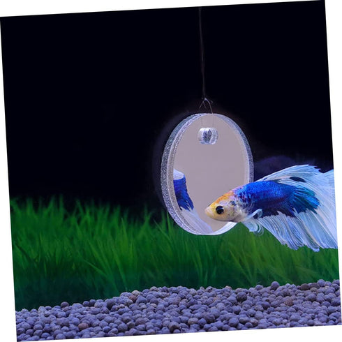 balacoo 1 Set Double Sided Acrylic Betta Training Mirror, Transparent Plastic Float Fish Tank