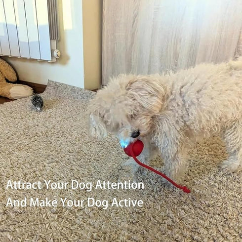 AUTRETY 2025 Toy,360 New Electric Dog Ball Smart Automatic Interactive Rolling Dog Ball, Smart Pet Toy Ball,Interactive