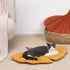 Pet Mat for Small Dogs and Cats - Soft Cotton Bedding with Ginkgo Leaf Design, Machine Washable, 50 x 68cm