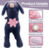 PET SHOW 4pcs Dog Flowers Collar Charms - Slides Attachment Accessories for Small Medium Large Dogs, Cats