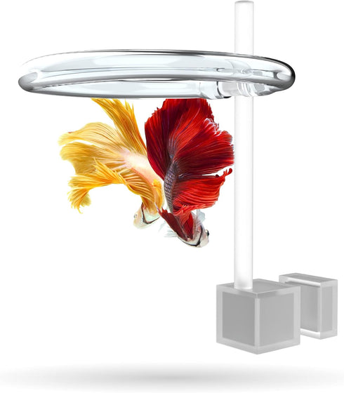 Magnetic Invisible Feeding Ring, Customizable Food Portal for Floating Plant Aquariums