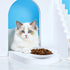 2 Pcs Cat Bowls, Wide & Shallow Ceramic Dishes for Whiskey Fatigue Relief, 15cm/6’’ Cute Fish Bone Design