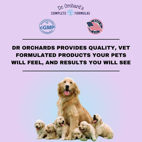Dr Orchards Pregnancy Pro Premium Dog Supplement for Pregnancy, Prenatal + Postnatal, 90 Ct