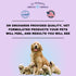 Dr Orchards Pregnancy Pro Premium Dog Supplement for Pregnancy, Prenatal + Postnatal, 90 Ct