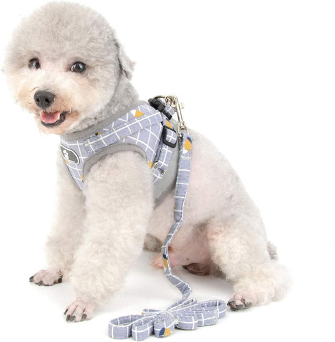 Zunea No Pull Small Dog Harness and Leash Set, Adjustable Reflective Step-in Chihuahua Vest Harnesses for Boy Girl Pets