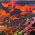 5 7 Super Red Ludwigia Aquarium Plants Live, Live Aquarium Tanks Ludwigia Aquatic Plants, No Root, to Stems, Live