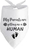 My Parents are Getting Me a Human Pregnancy Announcement Dog Bandana Dog