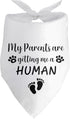 My Parents are Getting Me a Human Pregnancy Announcement Dog Bandana Dog
