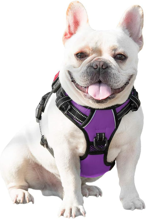 PHOEPET No Pull Dog Harness for Small Dogs - Reflective Adjustable Front Clip Vest with Handle (XS, Purple)