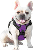 PHOEPET No Pull Dog Harness for Small Dogs - Reflective Adjustable Front Clip Vest with Handle (XS, Purple)