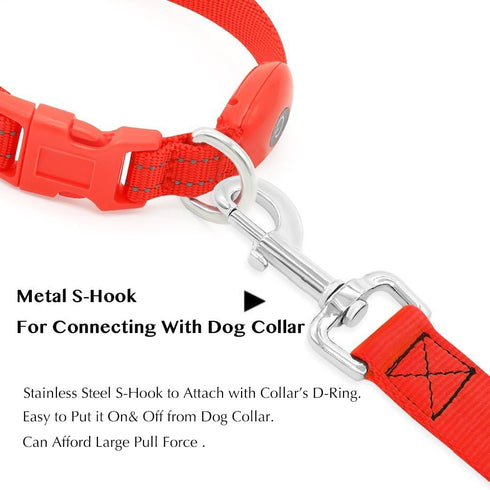 LED Dog Leash, USB Rechargeable Light Up Nylon Glowing Pet Leash for Night Walking (Red?)