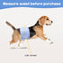 Pappiora 1622 in,10 Count Male Dog Diaper Disposable Wraps for Waist Leakproof, Super Absorbent, Adjustable Fit